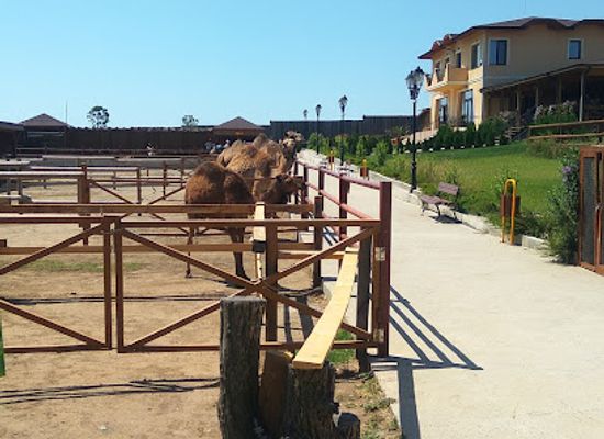 bulgaria/nessebar/attraction/camel-park-sunny-beach