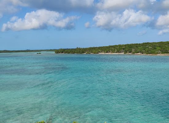 the-bahamas/eleuthera-island/attraction/zi-s-turtle-watch
