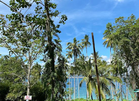 philippines/davao/attraction/monfort-bat-sanctuary
