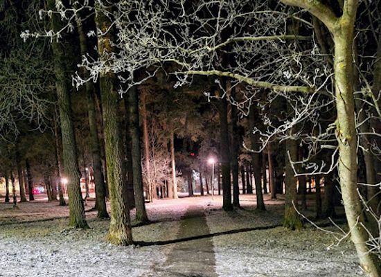 sweden/ostersund/attraction/olssons-kulle