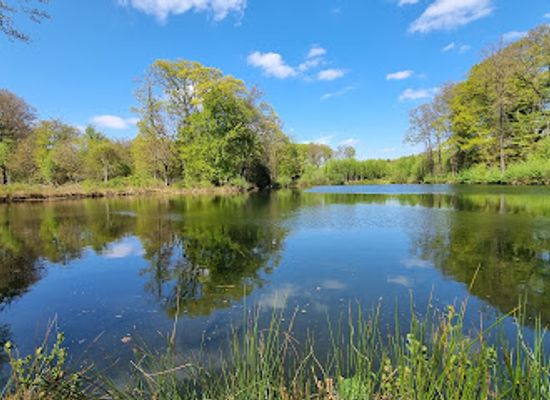 netherlands/overijssel/attraction/springendal