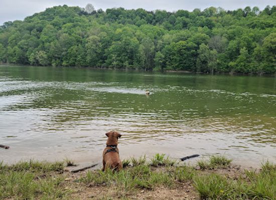 kentucky/outer-bluegrass/attraction/pulaski-county-park