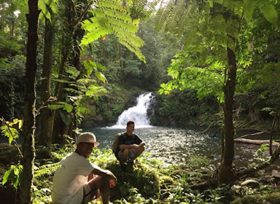 costa-rica/sarapiqui/attraction/frogs-heaven