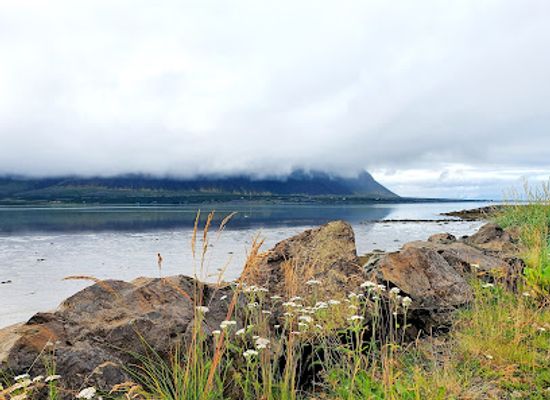 iceland/borgarfjörður/attraction/safnahus-borgarfjaroar