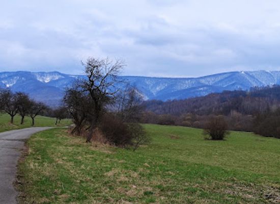 slovakia/poloniny-national-park/attraction/byvala-obec-ruske