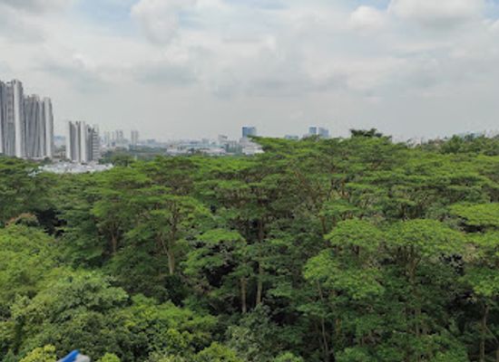 singapore/clementi/attraction/maju-forest