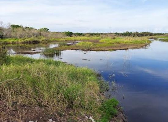 florida/sun-coast/attraction/myakka-river-state-park