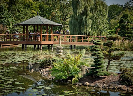 poland/wroclaw/krzyki/attraction/szczytnicki-park