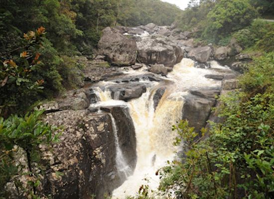 madagascar/fianarantsoa/attraction/ranomafana-national-park
