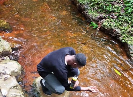 gabon/akanda-national-park/attraction/cascade-arboretum-raponda-walker