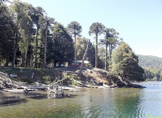 chile/los-rios-region/attraction/nueva-costanera