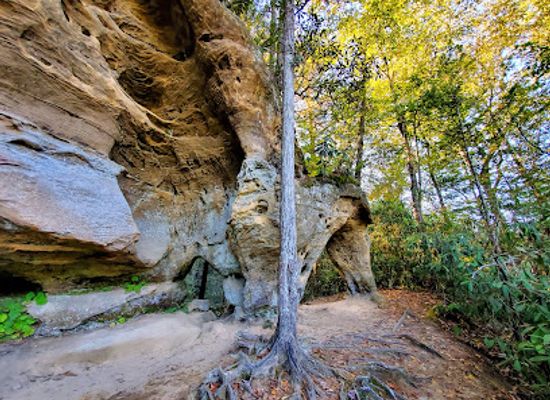 kentucky/eastern-mountain-coal-fields/attraction/angel-windows-trailhead-red-river-gorge