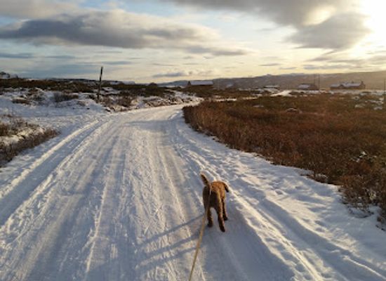 norway/geilo/attraction/vesleeane