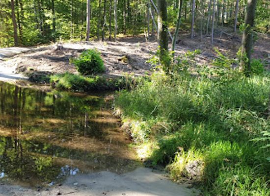 poland/drawa-national-park/attraction/przeprawa-brodem-na-strumieniu-z-jeziora-wierzchniego-w-poblizu-ujscia-do-drawy