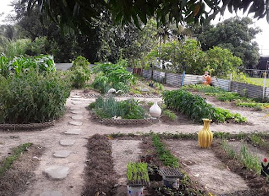 trinidad-and-tobago/arima/attraction/green-army-eco-park