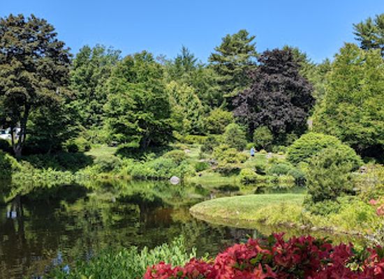 maine/mount-desert-island/attraction/asticou-azalea-garden