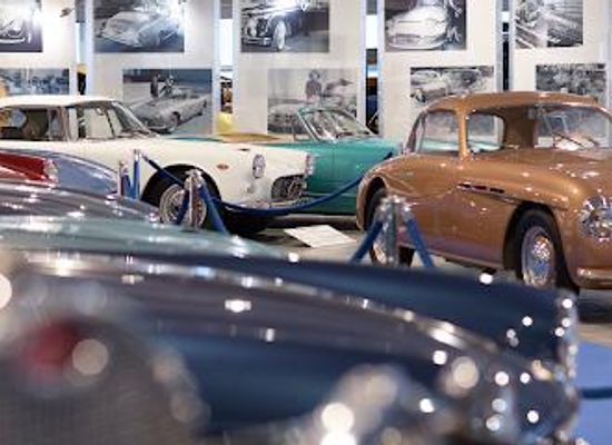 italy/verona/attraction/museo-nicolis