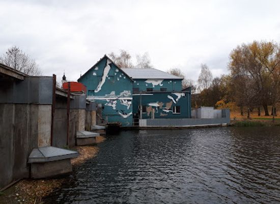 lithuania/marijampole/attraction/apverstas-paveikslas