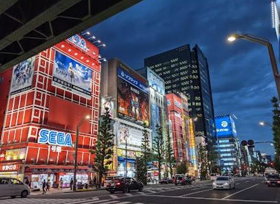 japan/tokyo/attraction/gigo-akihabara-1