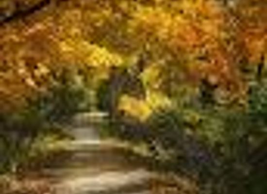 michigan/frankenmuth/attraction/tobico-marsh-frank-n-andersen-nature-trail