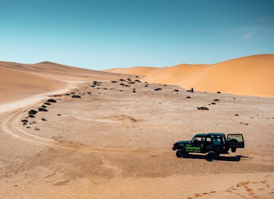 namibia/namib-desert/attraction/tommy-s-living-desert-tours