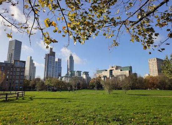 united-kingdom/london/attraction/vauxhall-pleasure-gardens