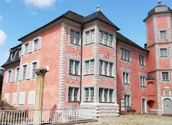 germany/heidelberg/attraction/lobdengau-museum