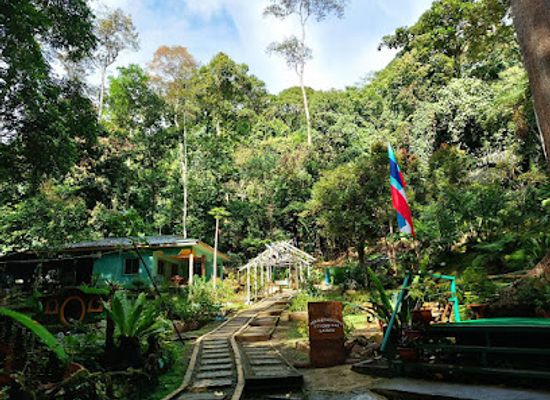malaysia/borneo/attraction/poring-hot-spring