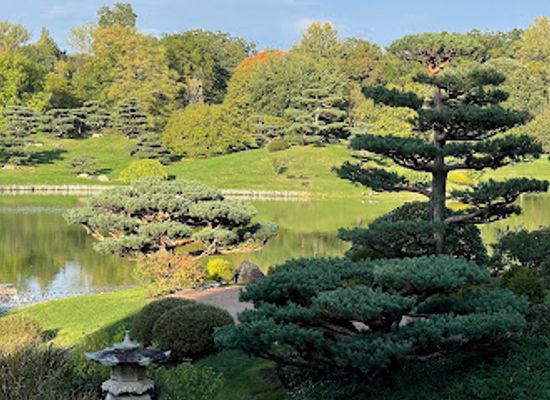 illinois/northeastern-illinois/attraction/chicago-botanic-garden