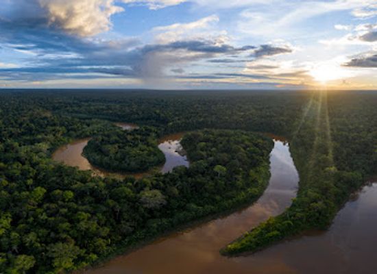 peru/tambopata-national-reserve/attraction/secret-forest-regenwaldschutzgebiet