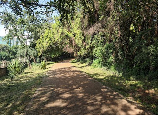 kenya/mount-kenya-region/attraction/the-nairobi-arboretum