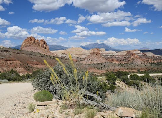 utah/torrey/attraction/burr-trail-switchbacks