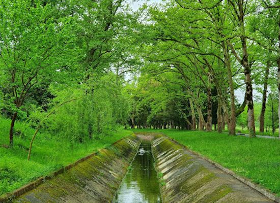 georgia/imereti/attraction/tskaltubo-central-park