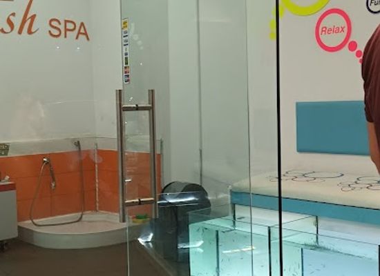 bulgaria/sunny-beach/attraction/dr-fish-spa