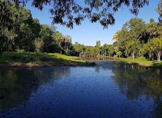 australia/cairns/attraction/centenary-lakes-nature-play-space