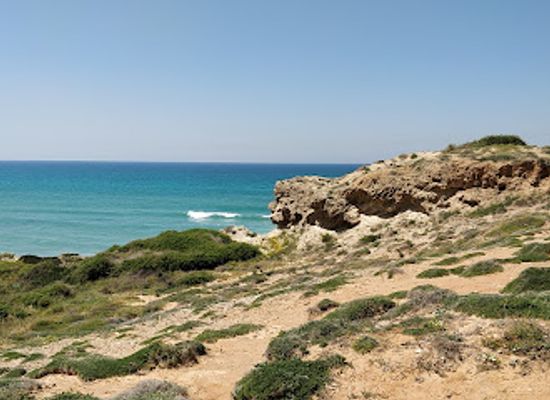 israel/netanya/attraction/metsapohr-hakornit