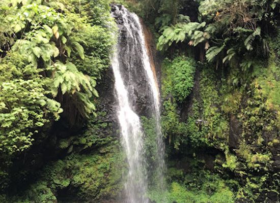 madagascar/ihorombe/attraction/montagne-d-ambre-nationalpark