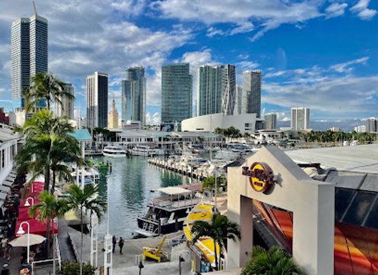 florida/miami/downtown-miami/attraction/skyviews-miami-observation-wheel