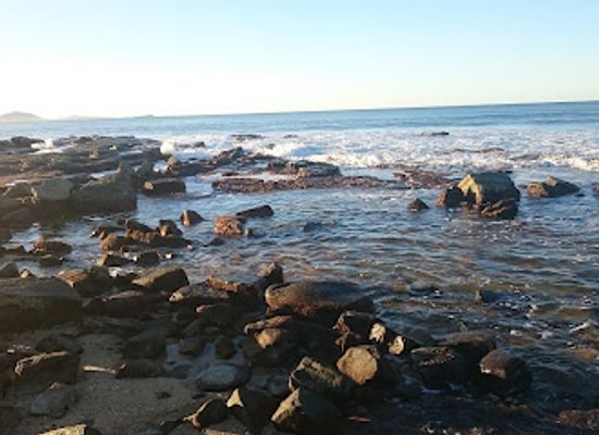 australia/sunshine-coast/attraction/sea-life-sunshine-coast-aquarium