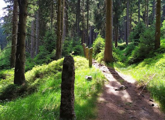 czechia/jizera-mountains/attraction/obora-clam-gallasu-jizni-cast