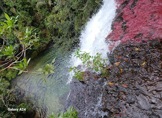 colombia/macarena-range/attraction/el-salto-del-gato-serrania-de-la-macarena