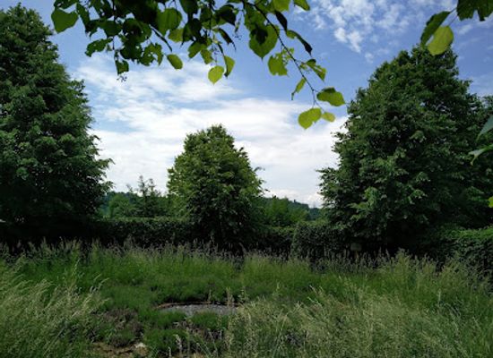 austria/innviertel/attraction/mattigtaler-heckenlabyrinth-der-menschenrechte