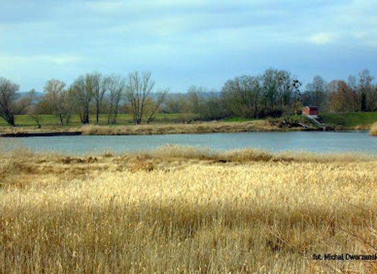 poland/zulawy/attraction/zulawy-cedynskie