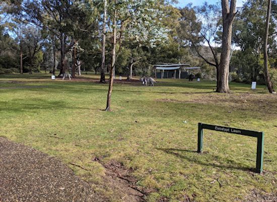 australia/central-west/attraction/australian-national-botanic-gardens