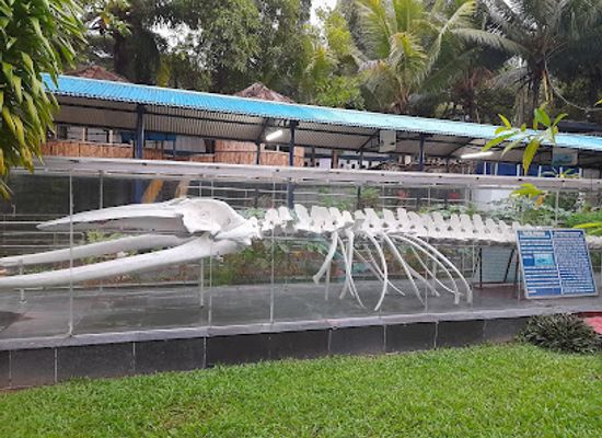 india/andaman-islands/attraction/naval-marine-museum-samudrika