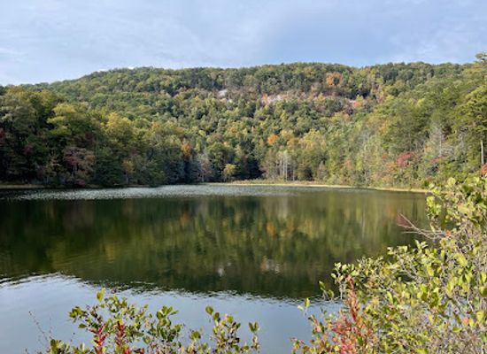 south-carolina/upstate/attraction/ashmore-heritage-preserve-trail-chandler-rock