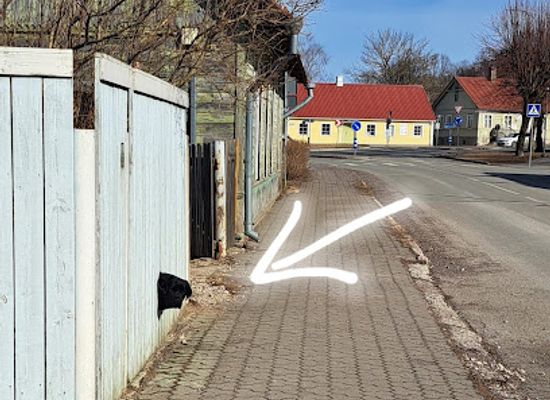 estonia/laane-county/attraction/funny-dog