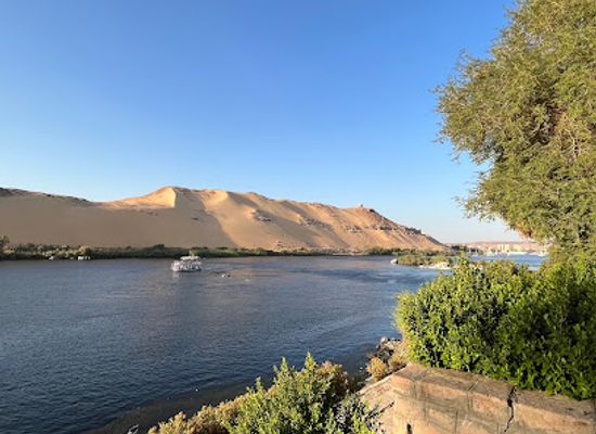 egypt/nubia/attraction/aswan-botanical-garden