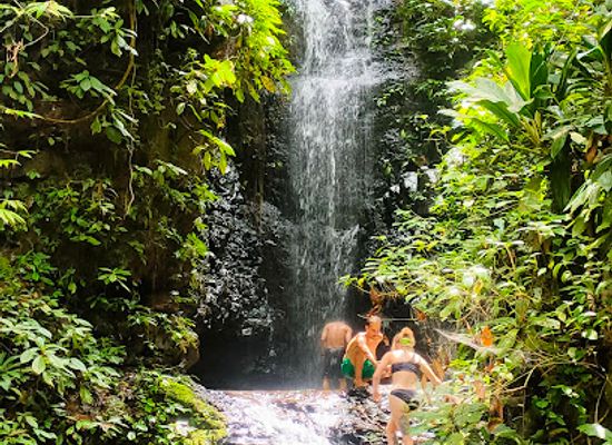 malaysia/taman-negara-national-park/attraction/teras-waterfall