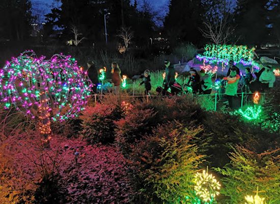 washington/bellevue/attraction/garden-d-lights